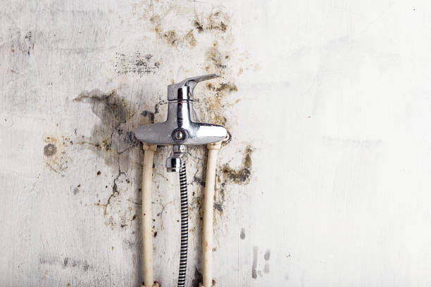 Best Office Mold Removal Services  in Park Layne, OH