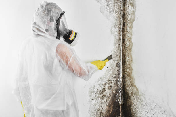 Best Mold Testing  in Park Layne, OH