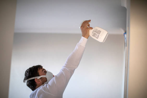 Best Mold Cleaning Services  in Park Layne, OH